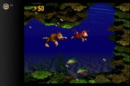 Donkey Kong Country